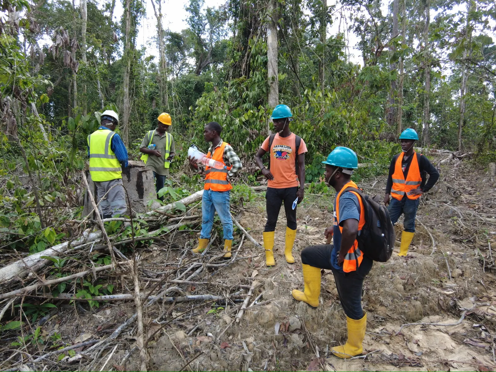 Inspection team walking an AW&L harvest site in Liberia