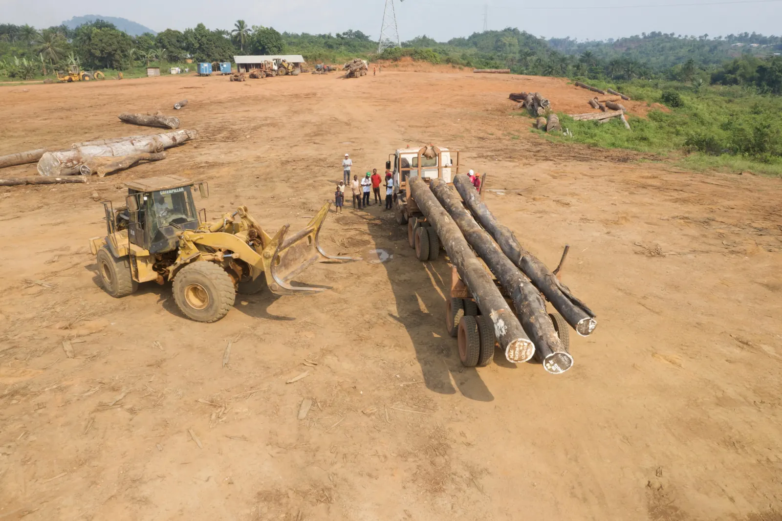 Loader handling logs at AW&L log yard