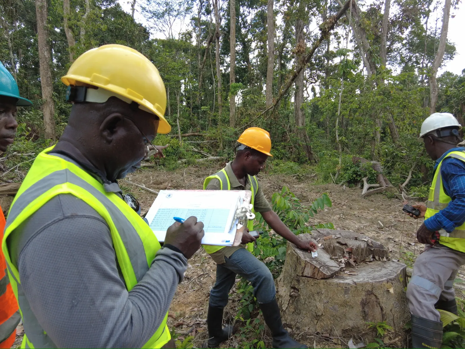 Inspector recording stump verification data in AW&L concession